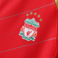 Liverpool Home 05-06