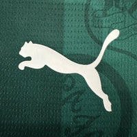 Plymouth Argyle Home 25-26