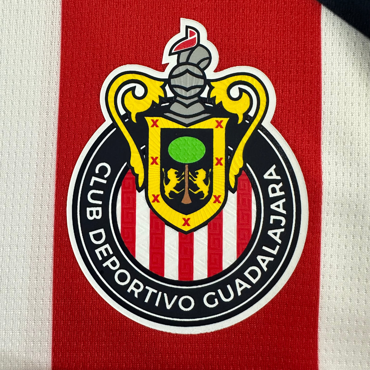 Chivas Guadalajara Home 25-26 — image 5