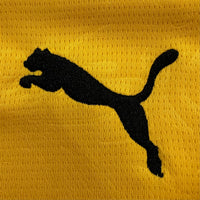 Borussia Dortmund Home 25-26