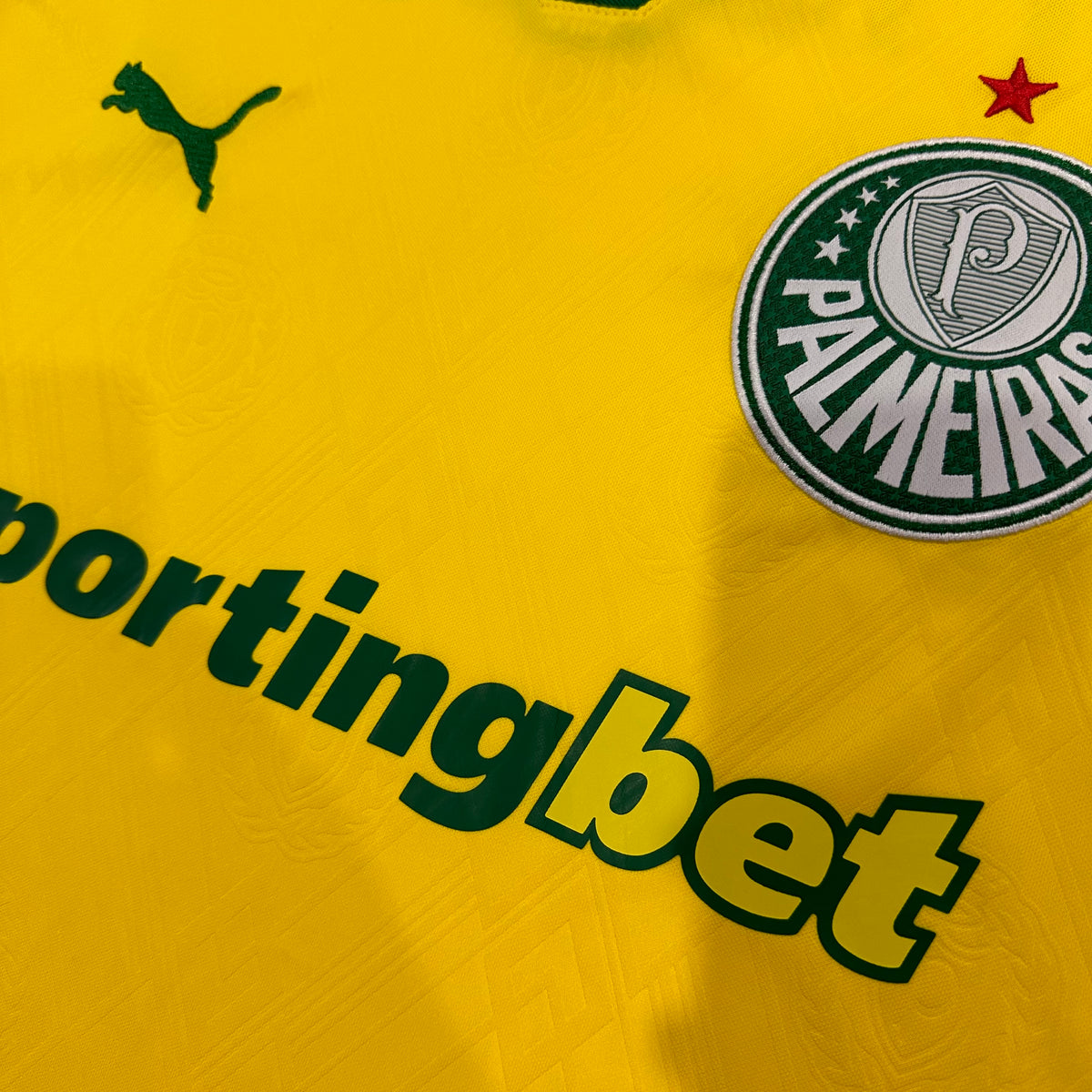 Palmeiras Third 25-26 — image 4