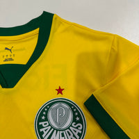 Palmeiras Third 25-26