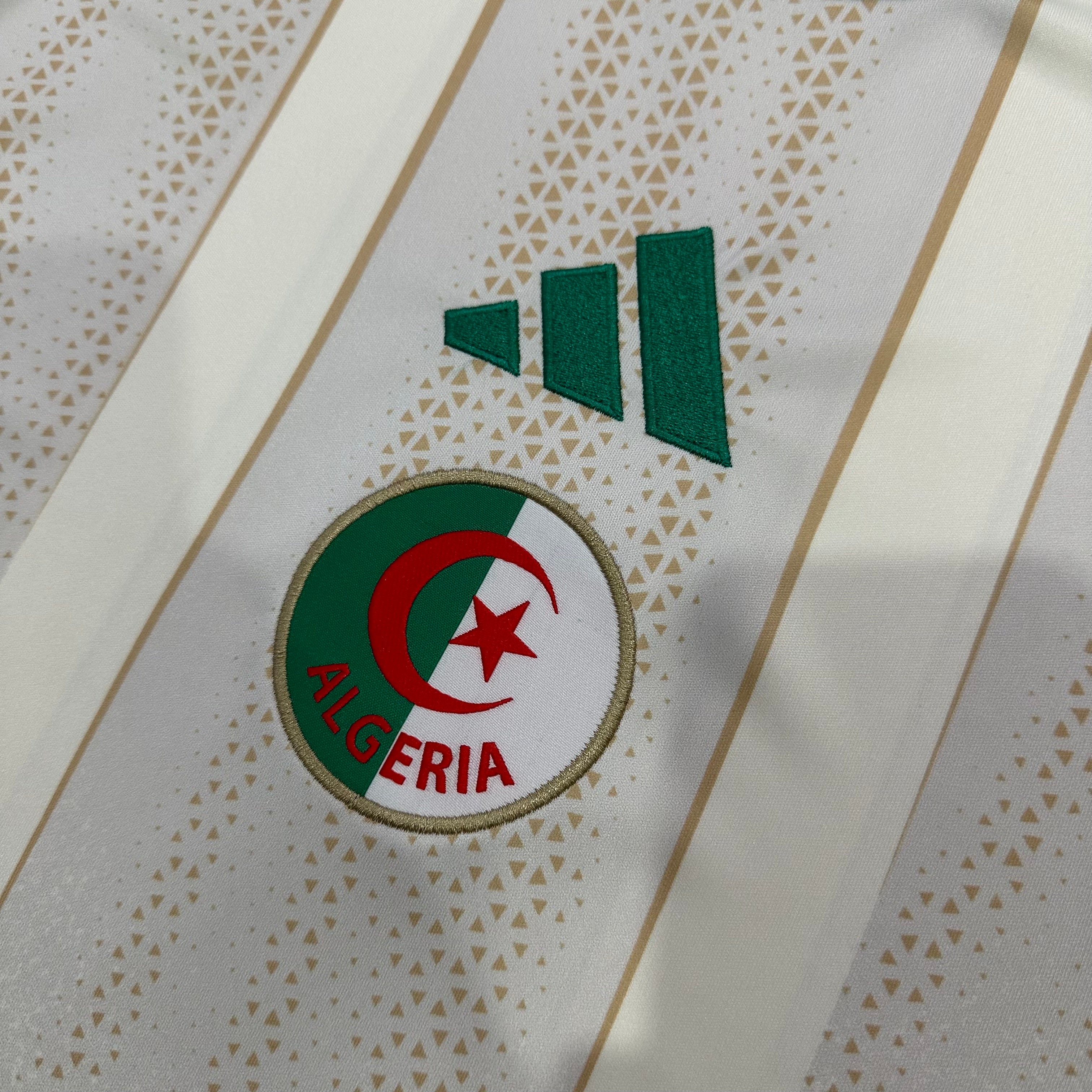Algeria away game 26-27 — image 4