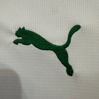 Palmeiras Away 26-27