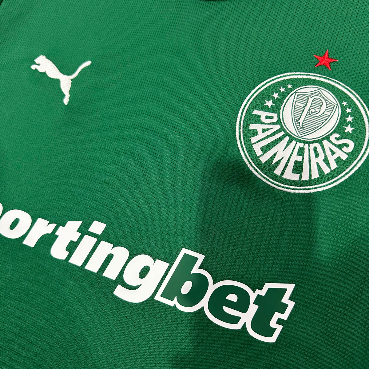 Palmeiras Home 26-27 — image 4