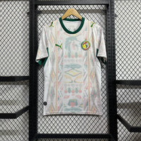 Senegal away game 26-27