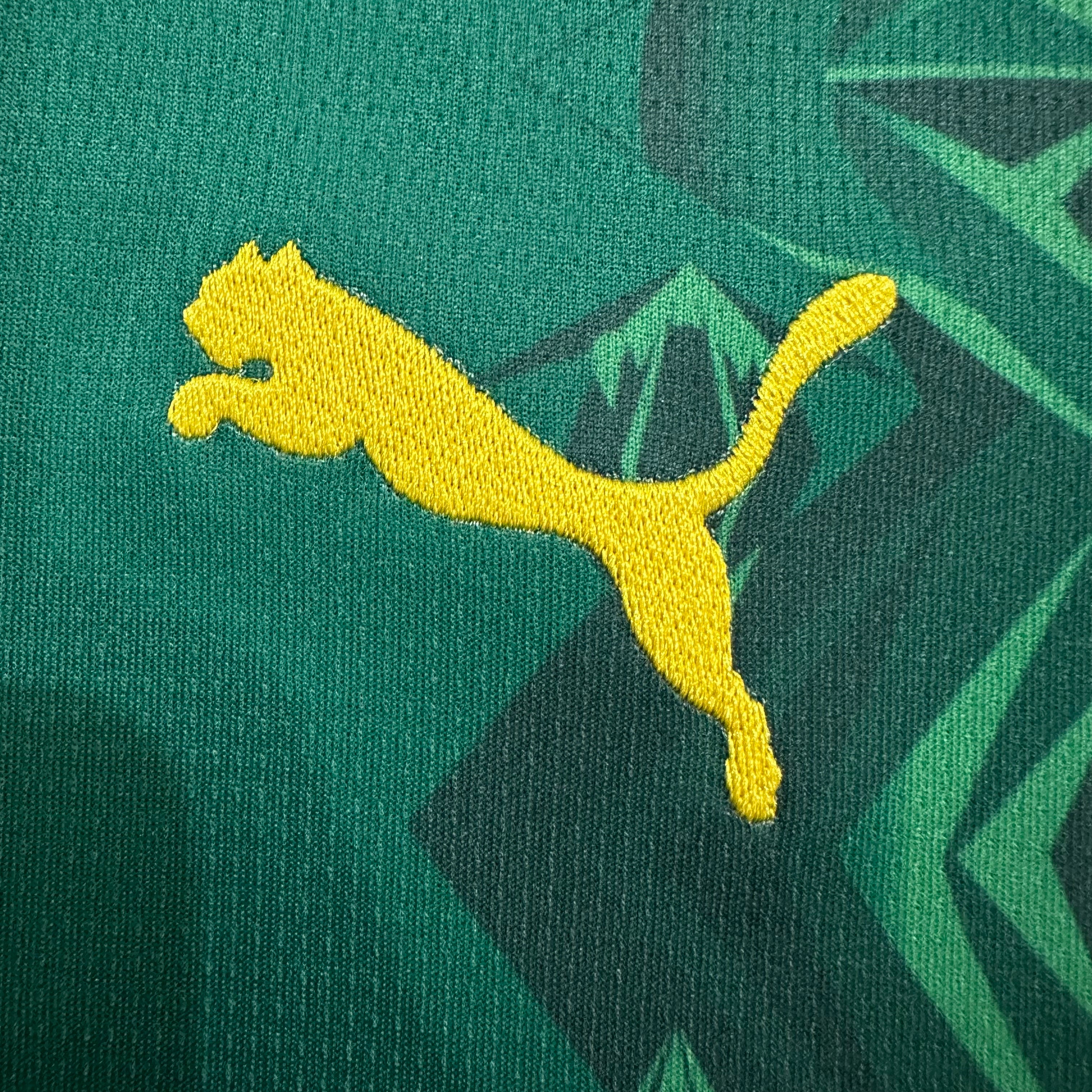 Senegal home game 26-27 — image 5