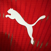 Switzerland home game 26-27