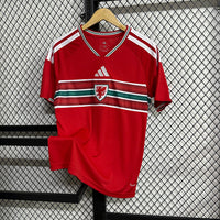 Wales home game 26-27