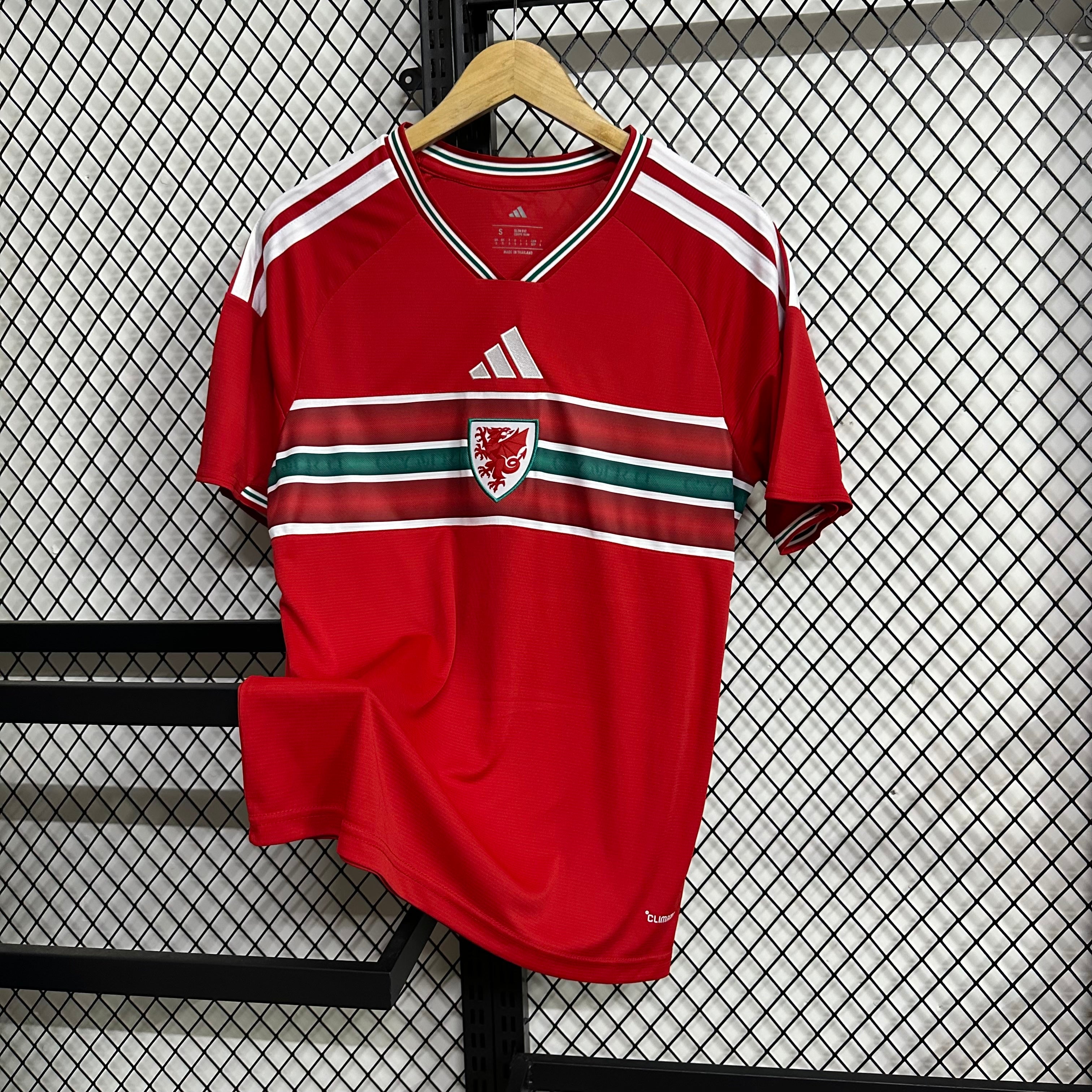 Wales home game 26-27 — image 1