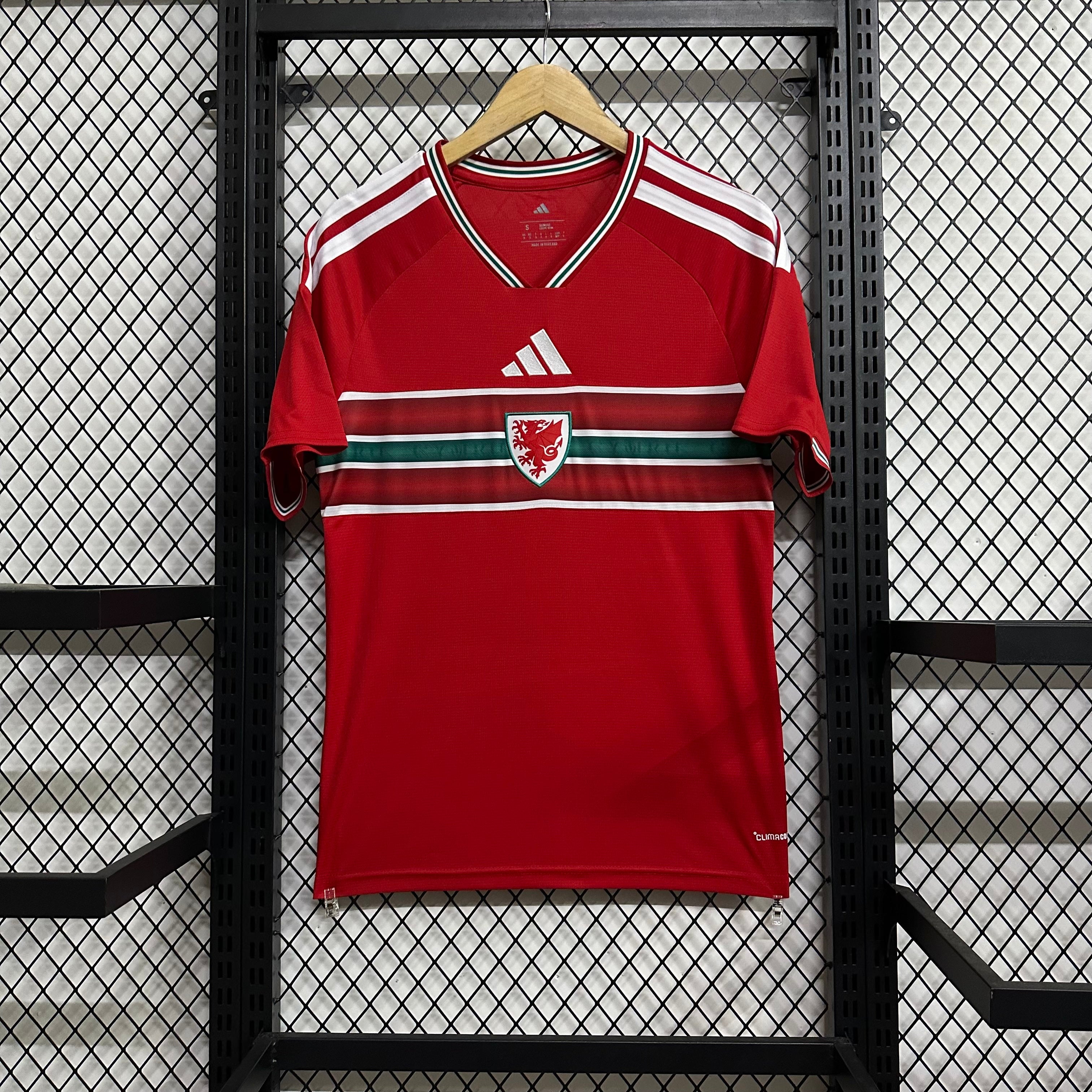 Wales home game 26-27 — image 2