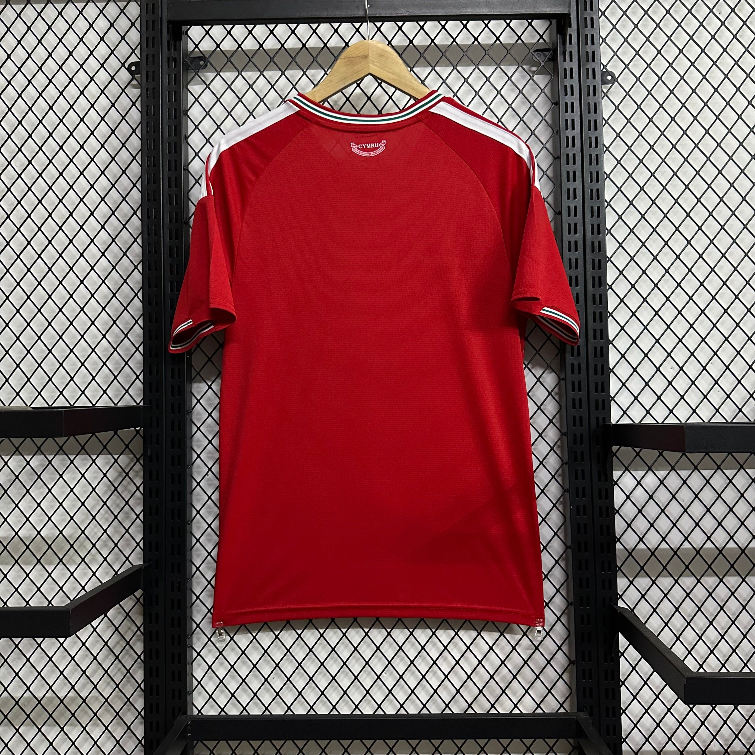 Wales home game 26-27 — image 3