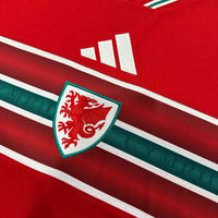 Wales home game 26-27