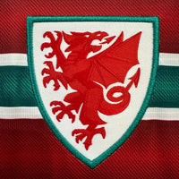 Wales home game 26-27