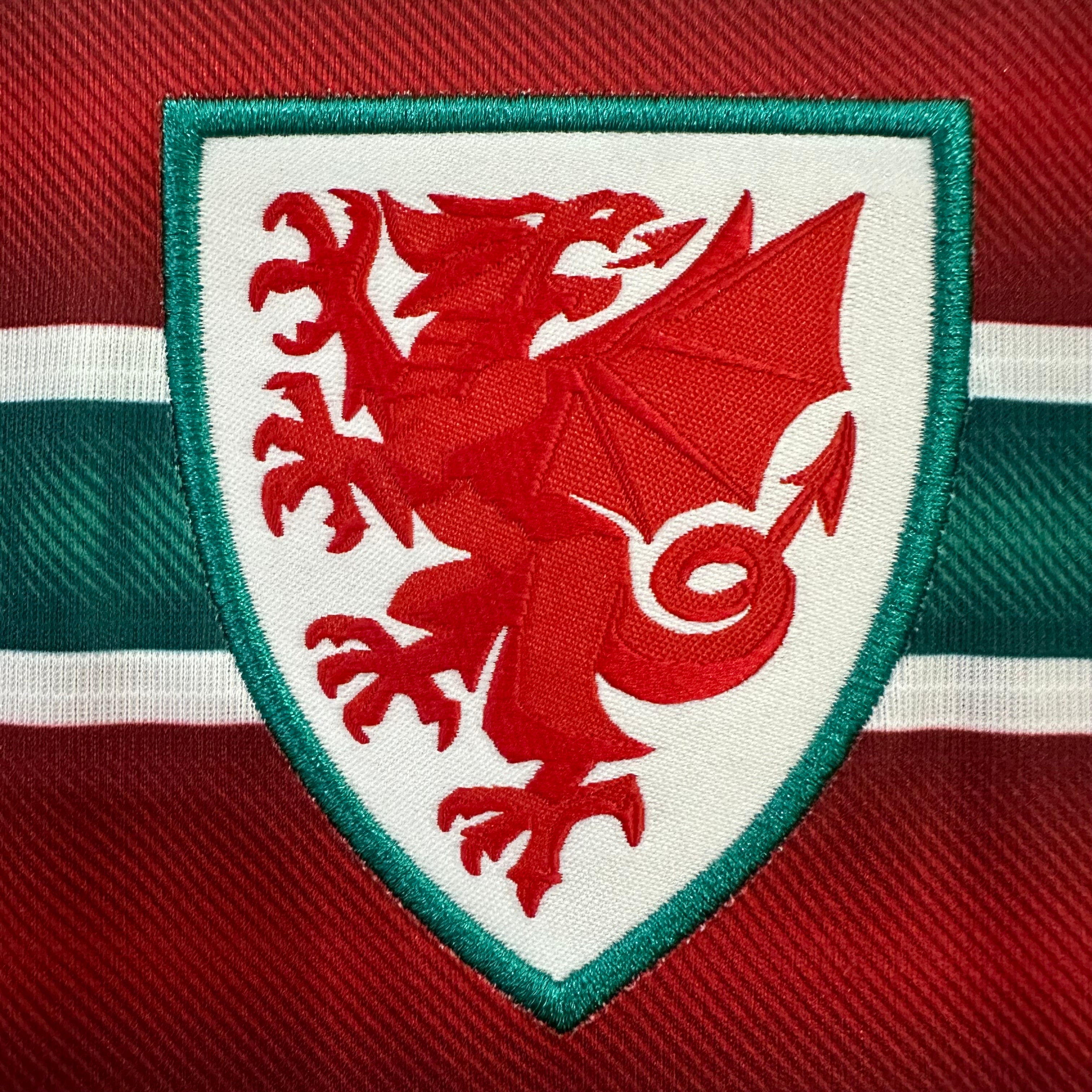 Wales home game 26-27 — image 5
