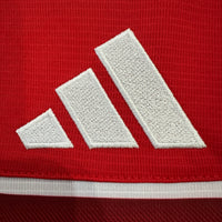 Wales home game 26-27