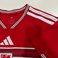Wales home game 26-27